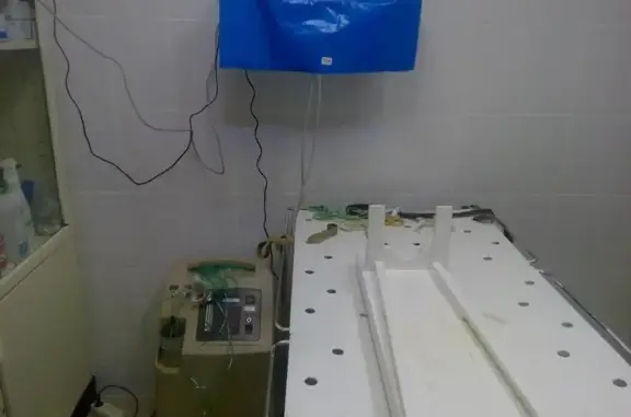 Ветеринарная клиника Кировская на улице Лазарева, 5а