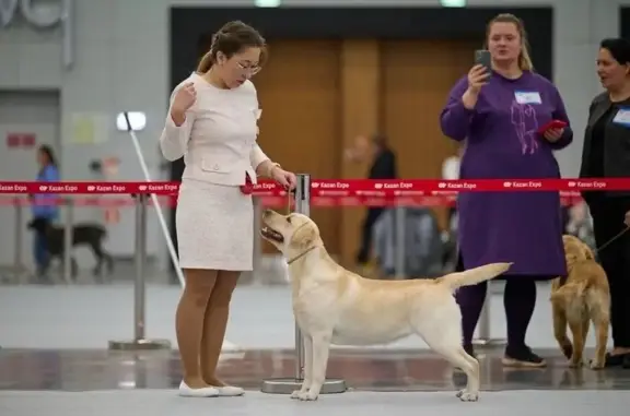 Хендлинг-центр Kazan