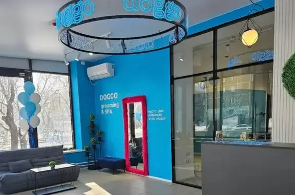 Груминг-салон Doggo