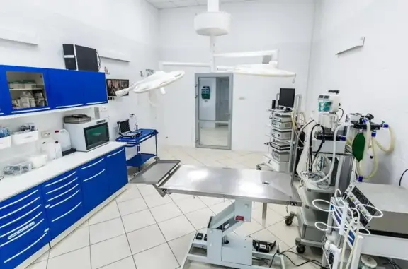 Астин, ветеринарная клиника