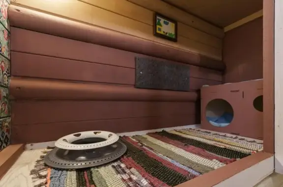 Зоогостиница Усики и хвостики