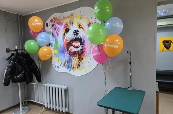 Салон по уходу за животными Groom на Новосибирской улице