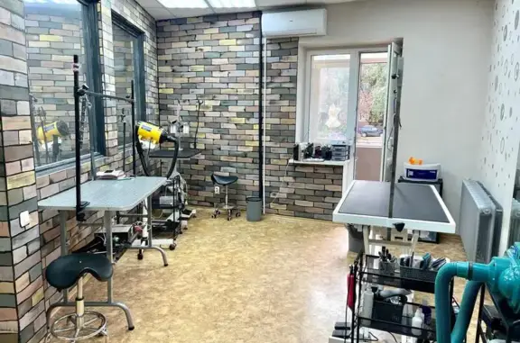 Груминг-студия МурМурГрум