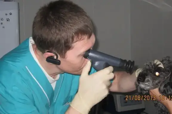 Ветеринарная клиника доктора Глушкова В.Г.