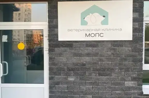 Мопс, ветеринарная клиника