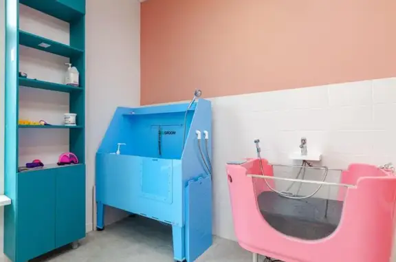 Студия груминга Paw Paw Grooming