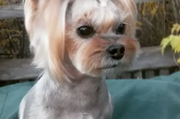 Зоостудия на Невской улице