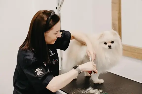 Салон профессионального груминга Groomer Club