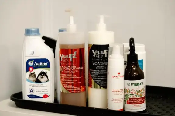 Отель и груминг-салон для питомцев Совсем как дома