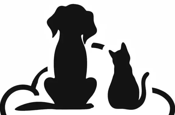 Крематорий для домашних животных в Октябрьском округе