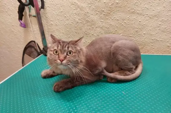 Груминг-салон на улице Лётчика Бабушкина, 40