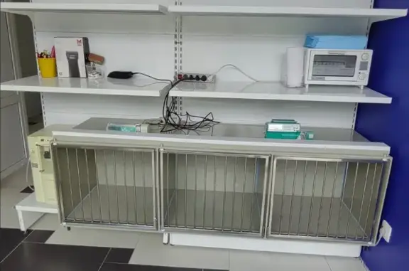 СитиVet, ветеринарная клиника