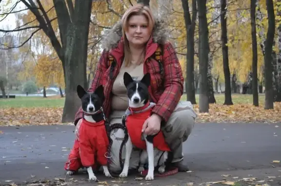 Питомник басенджи Итури Паззл на метро Первомайская