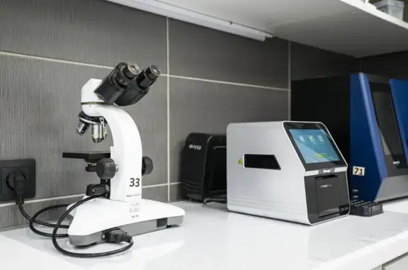 Манул, ветеринарная клиника