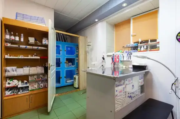 ВетАнгел, ветеринарный центр