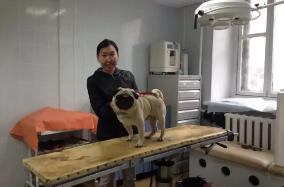 Доктор ВЕТ, ветеринарная клиника