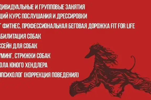 Центр профессиональной подготовки собак Дог Шоу Центр в Каучуковом переулке