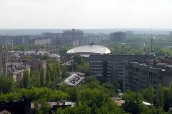 Ветеринарная клиника для птиц и экзотических животных Лимпопо в Ленинском районе