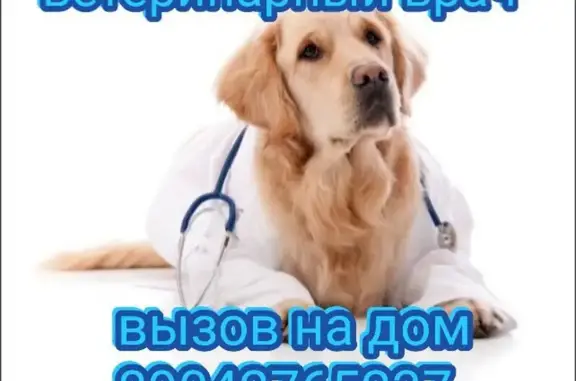 Умка, ветеринарный центр