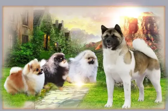 Питомник Из Донской Либерии