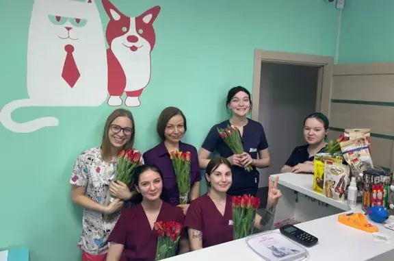 В Мире Животных, ветеринарная клиника