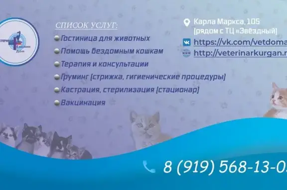 Кошкин дом, ветеринарный кабинет