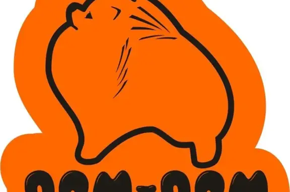 Зоосалон и школа груминга Пом-пом