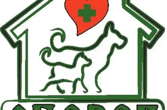 Оберег, ветеринарная клиника