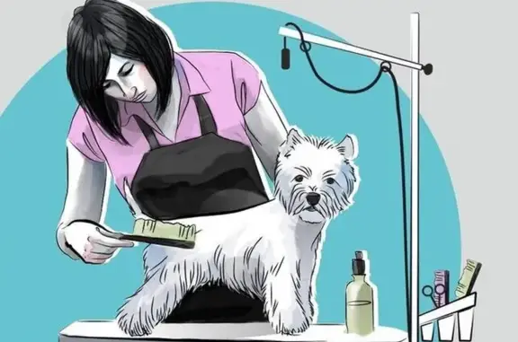 Зоосалон Фауна на улице Свердлова