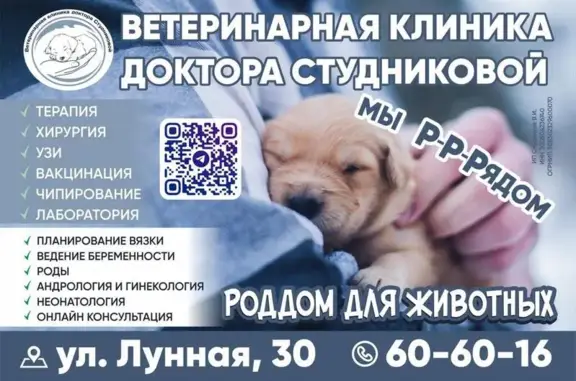 Ветеринарная клиника доктора Студниковой