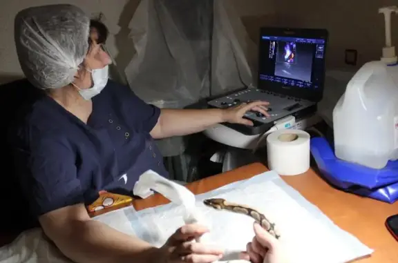 Ветеринарный центр доктора Бушаровой