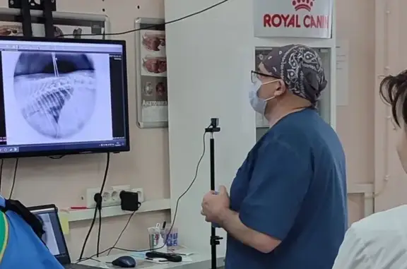 Багира, зоолого-ветеринарная клиника