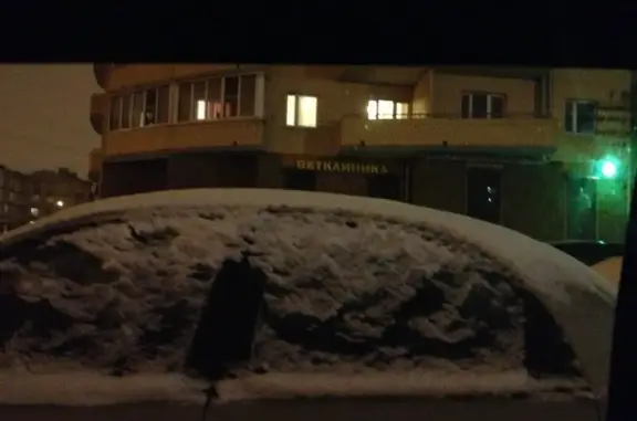 Барс, ветеринарная клиника