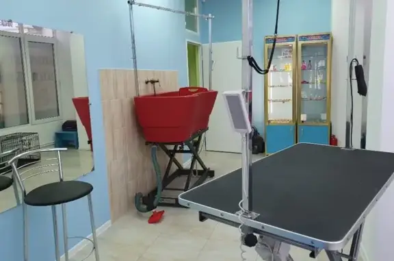 Ветеринарная клиника Ласкава на улице Богдана Хмельницкого