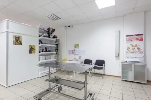 Правобережный ветеринарный участок