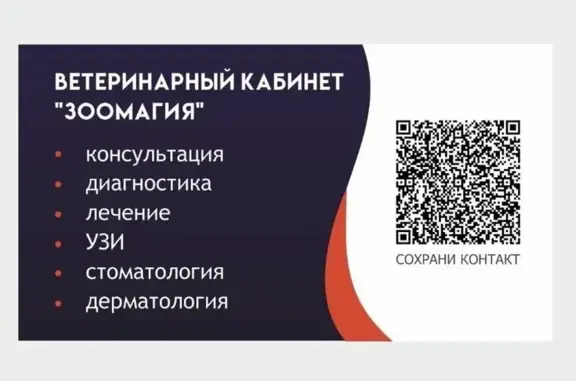 Зоомагия, ветеринарный кабинет