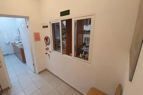 Альтернатива, ветеринарный центр