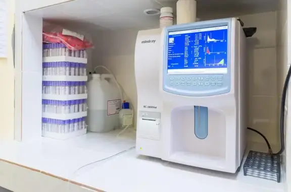 Ветеринарная клиника ВетАссист