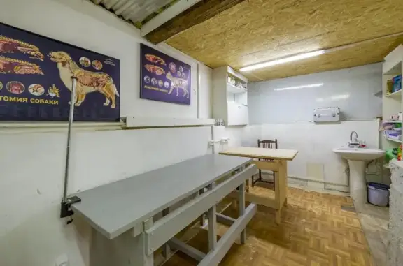 Zoomarkt, зоомагазин и ветклиника