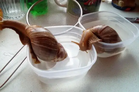 Друг, ветеринарный центр