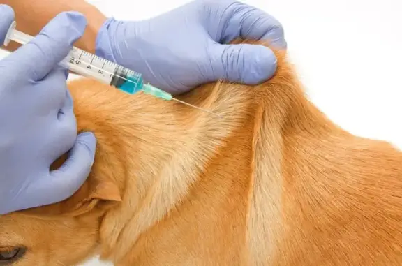 Свой доктор, ветеринарный центр