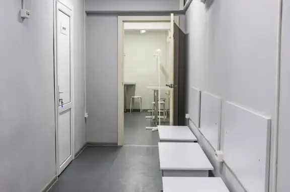 Выездная ветеринарная служба на Октябрьской улице