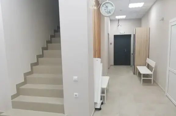 Социальный ветеринарный госпиталь