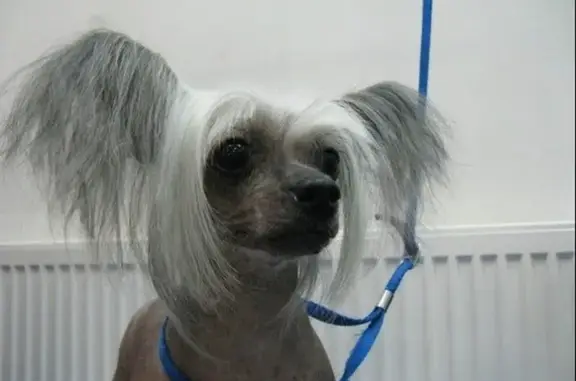 Зоосалон Балути на Артековской улице