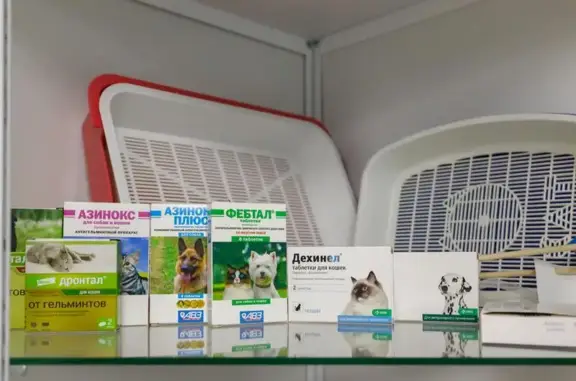 Ветеринарная клиника San Vita