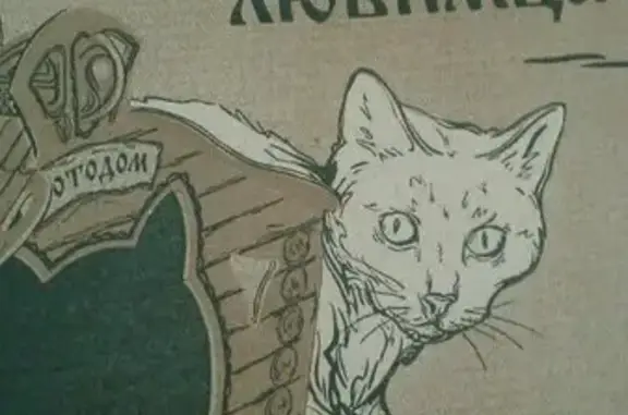 Зооцентр Верные Друзья на улице Андропова