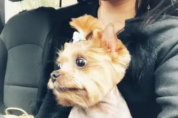 Салон красоты для животных Трезор