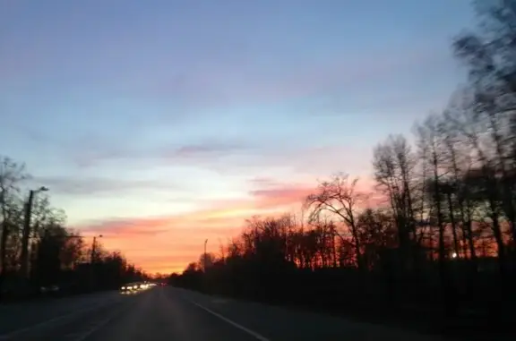 Филиал Авиастроительного района Государственное ветеринарное объединение г. Казани