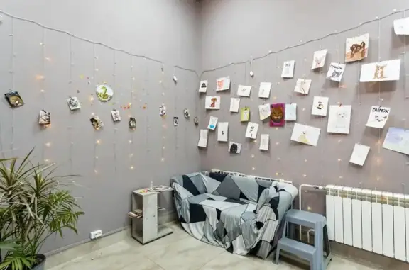 Зоосалон Груша на Люблинской улице