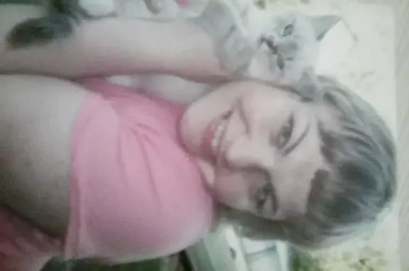 Айбовет, ветеринарный кабинет